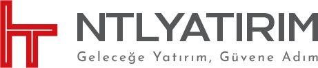 NTL YATIRIM A.Ş. Logo 